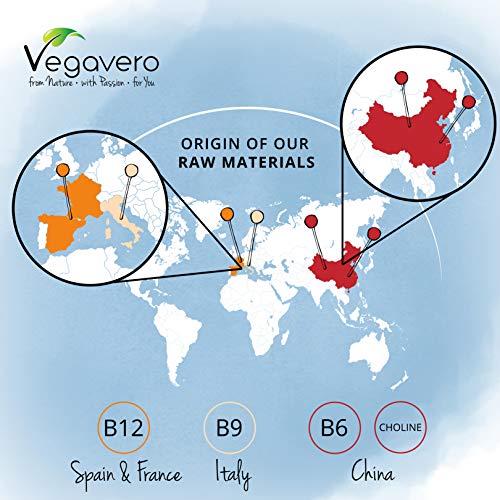 Vitamina B12 PLUS Vegavero® | Calidad Superior: Las 2 Formas Activas + Ácido Fólico + B6 + Colina | Vegana & Sin Aditivos | Energía + Sistema Nervioso + Cansancio & Fatiga* | 180 Cápsulas