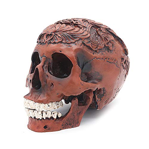 VOANZO - Figura de esqueleto humano, diseño retro y realista con diseño de calavera