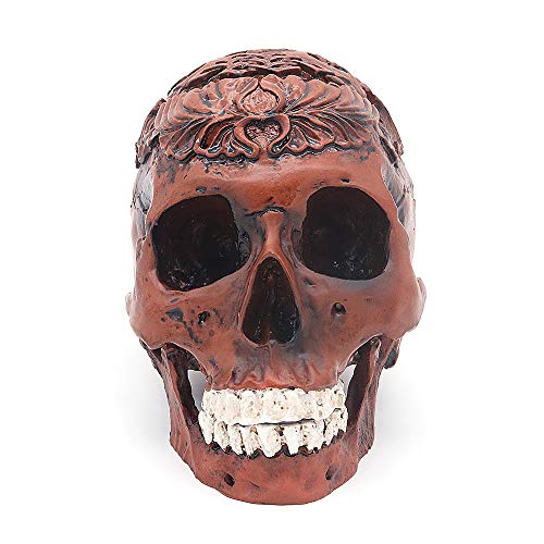 VOANZO - Figura de esqueleto humano, diseño retro y realista con diseño de calavera