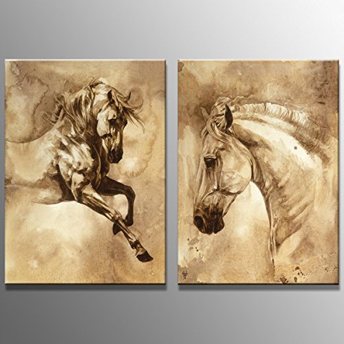 VORCOOL Óleo Lienzo Pintura Arte de La Pared Sin Marco Dos Paneles Caballo Cuadros Decorativos Modernos Pinturas Al Óleo Abstracta para el Hogar Sala de Estar Dormitorio Decoración 50x70 cm