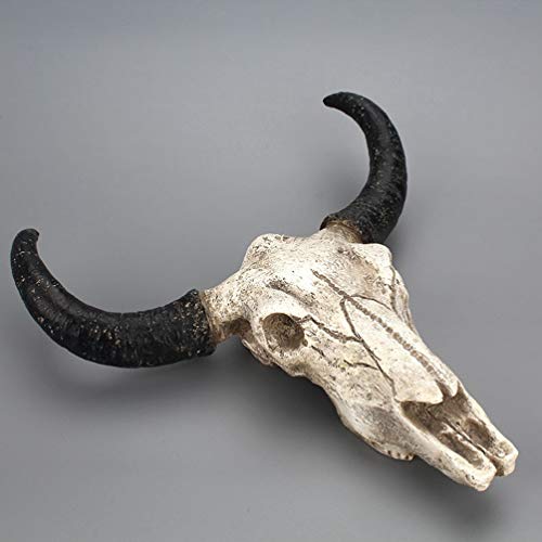Wakauto 1 Piezas Cráneo Colgante de Pared Cuerno Largo Vaca Cráneo Creativo Resina Animal Arte Artesanía Adornos para Decorar La Pared Del Hogar