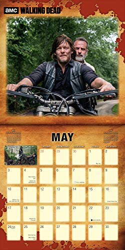 Walking Dead, the 2020 Square Wall Calendar