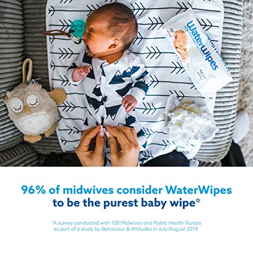 WaterWipes Toallitas para Pieles Sensible de Bebé, 99.9% agua purificada, 9 paquetes x 60 toallitas (540 toallitas)