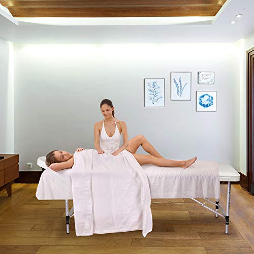 Wellhome Mesa de Masaje de 3 Secciones Aluminio Camilla Cama Portatil Plegable Ligera Camillas Masajes de Profesional Altura Ajustable con Reposacabezas, Apoyabrazos, Bolsa de transporte (Blanco)