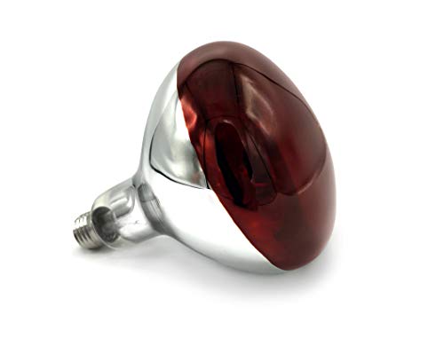 Wells Poultry Par38 - Bombilla de calor infrarroja (250 W)