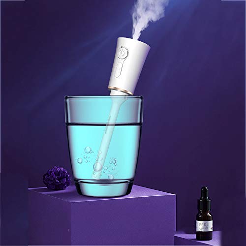 WENCY Rojo Humidificadores De Niebla 2 En 1 Multifuncional Instrumento De Hidratación Facial USB Portátil para Luminoterapia En El Hogar Oficina SPA Bebé