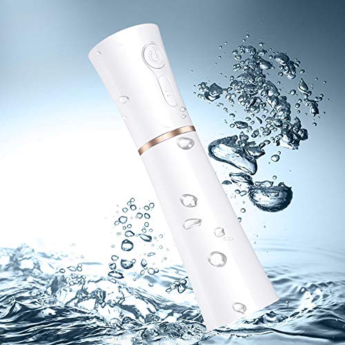 WENCY Rojo Humidificadores De Niebla 2 En 1 Multifuncional Instrumento De Hidratación Facial USB Portátil para Luminoterapia En El Hogar Oficina SPA Bebé