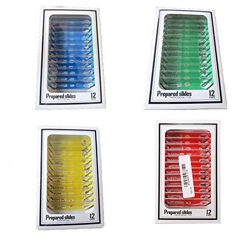 WhizKidsLab 48pzas Juego Muestras Preparadas Microscopio Animales Insectos Plantas Flores Plástico 1pza Espécimen Mariposa Real Niños Estudiantes Ciencia Juego Educativo