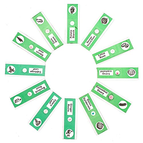 WhizKidsLab 48pzas Juego Muestras Preparadas Microscopio Animales Insectos Plantas Flores Plástico 1pza Espécimen Mariposa Real Niños Estudiantes Ciencia Juego Educativo