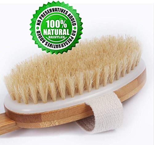 WIKEA Cepillo Espalda - Cepillo de ducha de mano, con mango largo, suave y cómodo, para masaje o exfoliación de piel seca (Versión actualizada)