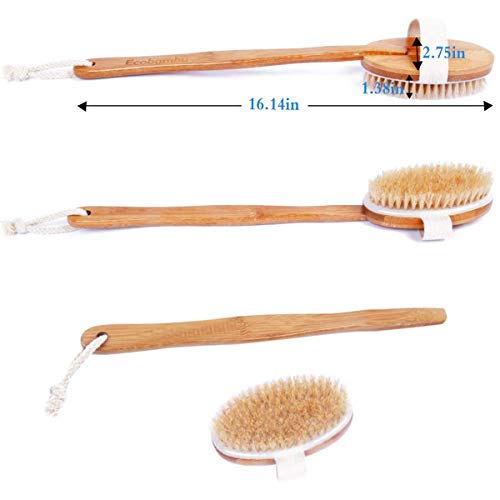 WIKEA Cepillo Espalda - Cepillo de ducha de mano, con mango largo, suave y cómodo, para masaje o exfoliación de piel seca (Versión actualizada)