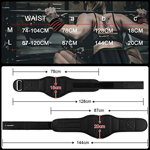 WIN.MAX Cinturón Lumbar Gimnasio，Cinturón Lumbar Gimnasio Ajustable para Hombres y Mujeres，Cinturones Pesas Levantamiento，Gimnasio Cinturón Peso Musculacion (Negro, M)