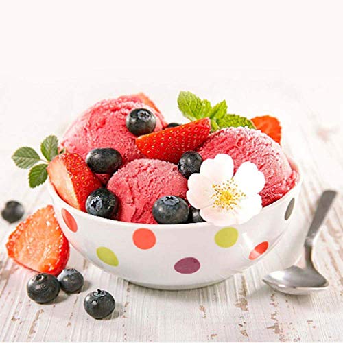 WJH9 De múltiples Funciones Portable del hogar Mini automático de Helados de Frutas de la máquina, fácil de Usar y de Limpiar, removible, Azul