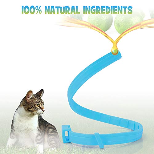WOLFWILL Collar de Pulgas y Garrapatas para Gato,Acción Prolongada 10 Meses de Protección y Prevención contra Pulgas Garrapatas,Piojos,Talla Única para Todos,Ajustable, Impermeable
