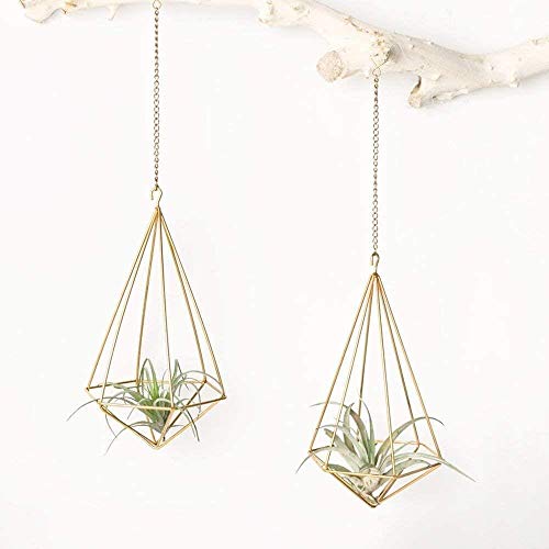 Woodtree Paquete de 2 Colgantes Titular de la Planta de Aire Independiente Metal Tillandsia Himmeli Rack Airplants Display decoración de la Pared, Oro