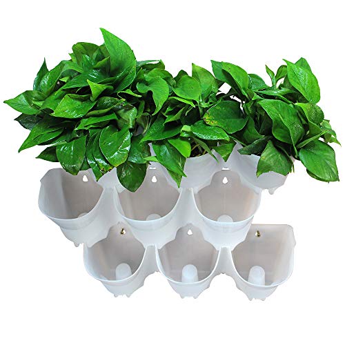 Worth Garden Muro de riego automático 3 Set 9 Bolsillos Sembradora Sembradora Viva Casa/Patio/Decoración de jardín