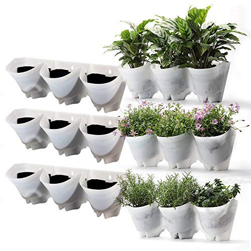 Worth Garden Muro de riego automático 3 Set 9 Bolsillos Sembradora Sembradora Viva Casa/Patio/Decoración de jardín