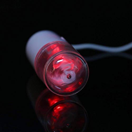 WQLFCD Humidificador USB portátil Recargable Nano Mister Humidificador Neblina de enfriamiento Mini humidificador Facial Extensiones de pestañas Pulverizador Dispositivo Facial, Estilo