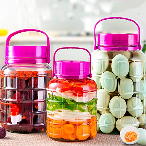 XDLYM Botella de Vino espumoso, Tarro del Tarro Kimchi, Tarro de la salmuera del hogar, Botella sellada Frasco,M3