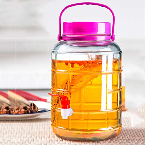 XDLYM Botella de Vino espumoso, Tarro del Tarro Kimchi, Tarro de la salmuera del hogar, Botella sellada Frasco,M3