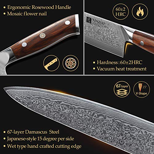XINZUO 25.5cm Cuchillo Chef Alto Carbono Damasco Acero Profesional Japon Cuchillo Cocinero Gyuto VG10 Acero con Ergonómico Rosewood Mango - Yu Serie