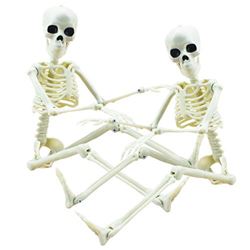 XONOR Esqueleto de Halloween posable de 2 Piezas - Esqueleto de Halloween de Cuerpo Completo con Juntas móviles para Decoraciones de Accesorios de Casas encantadas