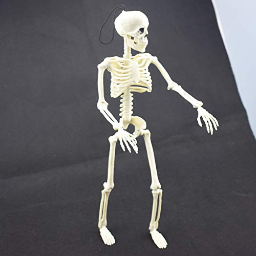 XONOR Esqueleto de Halloween posable de 2 Piezas - Esqueleto de Halloween de Cuerpo Completo con Juntas móviles para Decoraciones de Accesorios de Casas encantadas