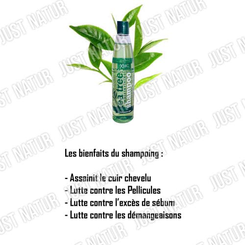 Xpel hair care - Xhc juego de árbol de té hidratante champú + acondicionador 400 ml
