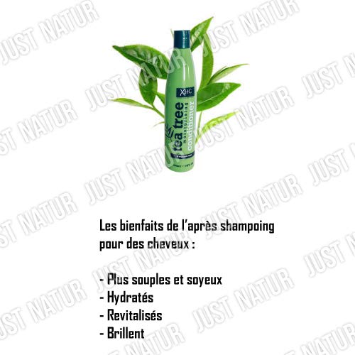 Xpel hair care - Xhc juego de árbol de té hidratante champú + acondicionador 400 ml