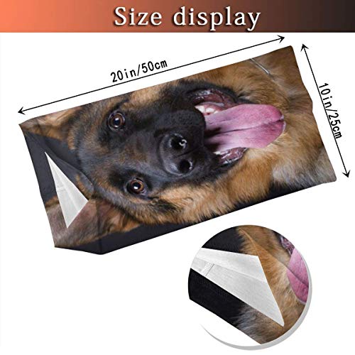 XXUU Mascarilla de Pastor alemán Bandanas Bufanda Calentador de Cuello Diademapara Polvo Aire Libre Deportes Polvo Sol, Protección contra el frío