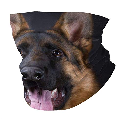XXUU Mascarilla de Pastor alemán Bandanas Bufanda Calentador de Cuello Diademapara Polvo Aire Libre Deportes Polvo Sol, Protección contra el frío