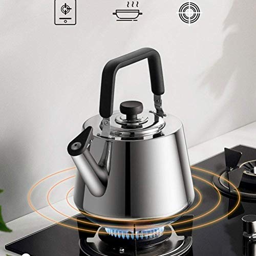 XYSQWZ Tetera De Té 4-5l Tetera De Silbato De Acero Inoxidable Plateado con Pico A Presión para Adaptarse A La Mayoría De Las Estufas (tamaño: 5l) Hervidores Eléctricos
