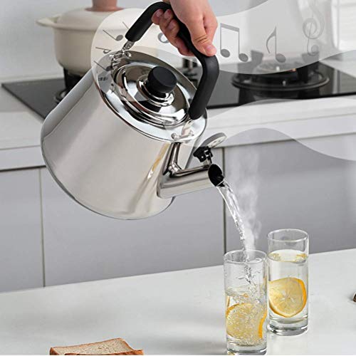 XYSQWZ Tetera De Té 4-5l Tetera De Silbato De Acero Inoxidable Plateado con Pico A Presión para Adaptarse A La Mayoría De Las Estufas (tamaño: 5l) Hervidores Eléctricos
