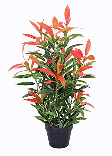 yanka-style PHOTINIA - Espátula Brillante con Maceta (Aprox. Planta Artificial de 80 cm de Alto, árbol Artificial, árbol, árboles, Flores, decoración, Regalo (Photinia)
