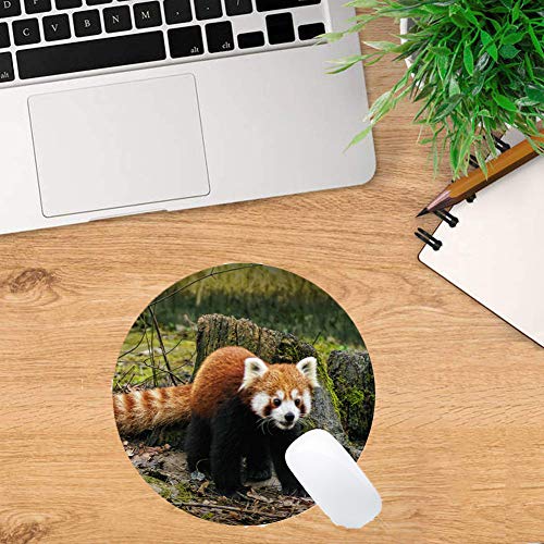 Yanteng Cojines de ratón del rectángulo para el Ordenador portátil, Caucho del resbalón de Mousepad del Gato del Leopardo