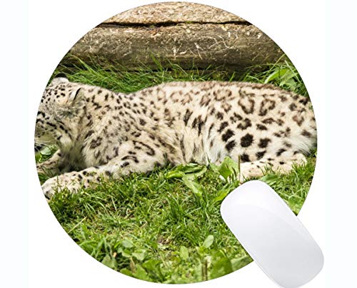 Yanteng Cojines de ratón del rectángulo para el Ordenador portátil, Caucho del resbalón de Mousepad del Gato del Leopardo