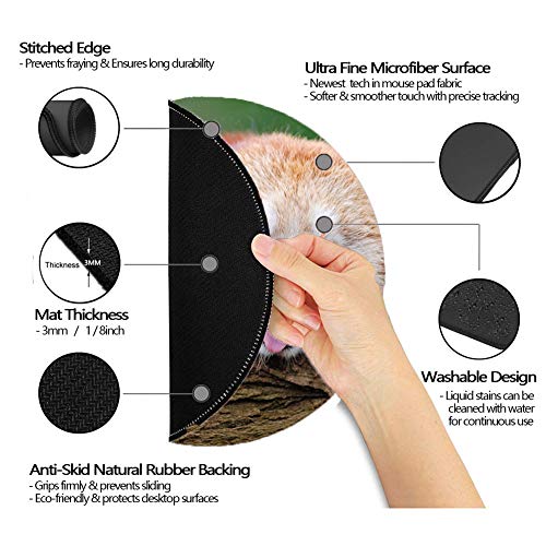 Yanteng Cojines de ratón del rectángulo para el Ordenador portátil, Caucho del resbalón de Mousepad del Gato del Leopardo