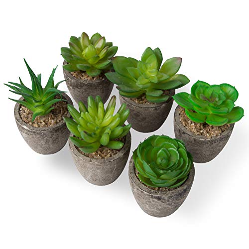 YHmall 6 Pcs Plantas Artificiales Suculentes con Macetas Decoración de Interior y Exterior para Casa, Habitación, Cocina, Jardín, Patio