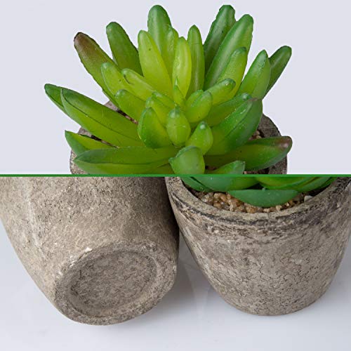 YHmall 6 Pcs Plantas Artificiales Suculentes con Macetas Decoración de Interior y Exterior para Casa, Habitación, Cocina, Jardín, Patio