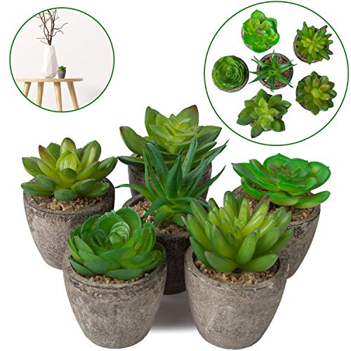 YHmall 6 Pcs Plantas Artificiales Suculentes con Macetas Decoración de Interior y Exterior para Casa, Habitación, Cocina, Jardín, Patio