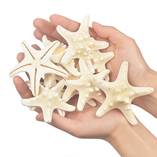 Yixuan 10PCS Estrellas de mar Estrella de mar Natural Estrella de mar Decoracion Molde Estrella mar decoración de Bodas/Fiesta temática en la Playa/Decoraciones para el hogar/Bricolaje