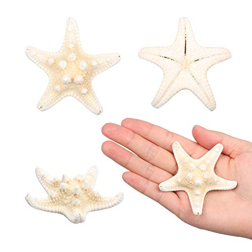 Yixuan 10PCS Estrellas de mar Estrella de mar Natural Estrella de mar Decoracion Molde Estrella mar decoración de Bodas/Fiesta temática en la Playa/Decoraciones para el hogar/Bricolaje
