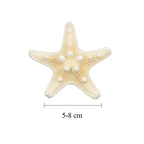 Yixuan 10PCS Estrellas de mar Estrella de mar Natural Estrella de mar Decoracion Molde Estrella mar decoración de Bodas/Fiesta temática en la Playa/Decoraciones para el hogar/Bricolaje