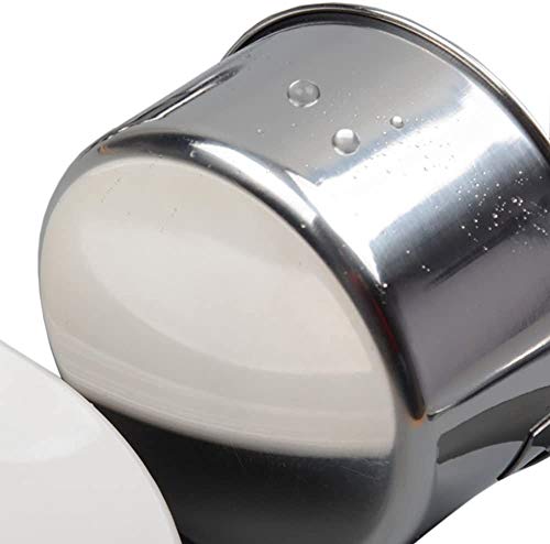 Yizish tazas de acero inoxidable de medición y cucharas con la regla de medición, tabla de conversión de la cocina conjunto de 10, para ingredientes secos y líquidos