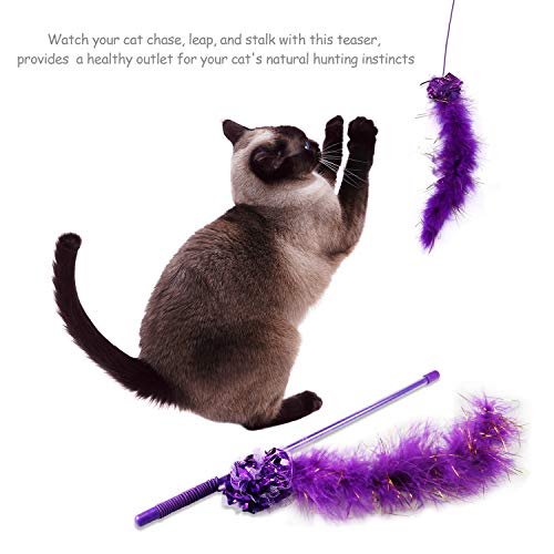 Yosemy Juguetes para Gatos Interactivos, Mascota Gato Captura Juguetes De Entrenamiento, 20 Piezas