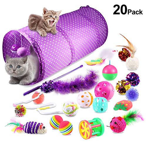 Yosemy Juguetes para Gatos Interactivos, Mascota Gato Captura Juguetes De Entrenamiento, 20 Piezas