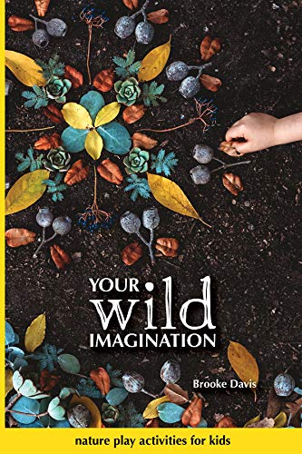 Your Wild Imagination: nature play activities for kids (English Edition)