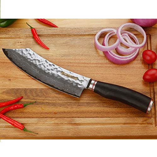 YOUSUNLONG Cocina Cuchillo para Cocinero de 8 Pulgadas con Cuchilla doblada,japonés VG10-Acero Inoxidable de Alto Carbono-Hoja Afilada-Mango de ébano-SL-DK10914B