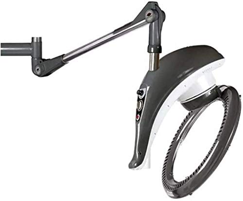 YQY Secador de Pelo de la Capilla del Soporte/Montaje en Pared con el botón, Salón Peluquería Estilo Muebles Portable de la Belleza del Balneario teñido Perming Calentador Máquina de Tratamiento,Gris