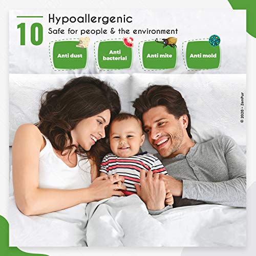 ZenPur Almohada 70 x 35 cm Cervical Viscoelástica Bambú Orgánico – Almohada Ortopédica Hipoalérgenica Firmeza Media - Almohada Anti Ácaros con Funda de Bambú